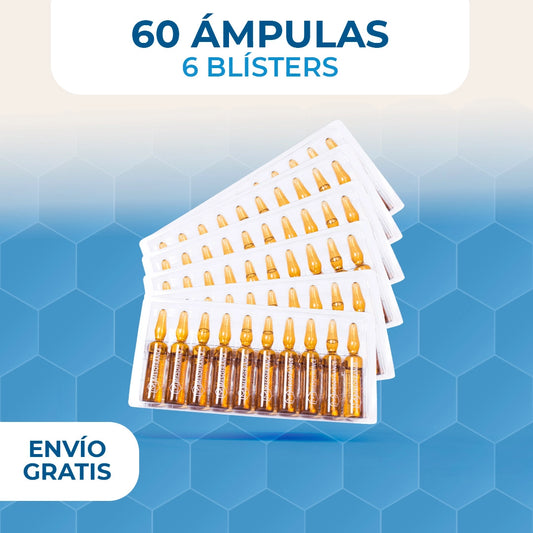 6 Blister (60 Ámpulas)