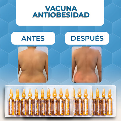 Tratamiento Vacuna Anti Obesidad