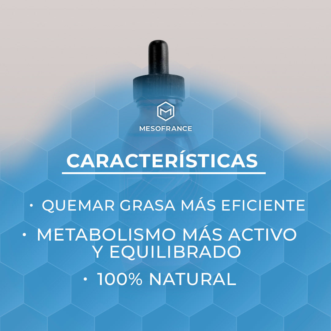 BELLY FLAT (Zlimmer)