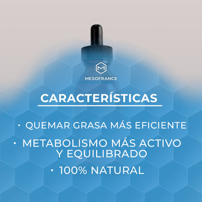 BELLY FLAT (Zlimmer)